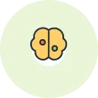 08_cerebro